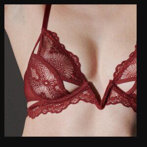Thistle and Spire Kane V-Wire Bra in Ruby